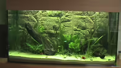 Becken 9910 von Schins