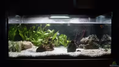 Becken 9913 von Dominik Laufer