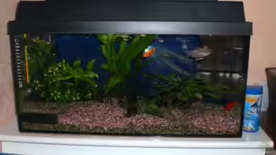 Becken 9922 von Stefan Georgi