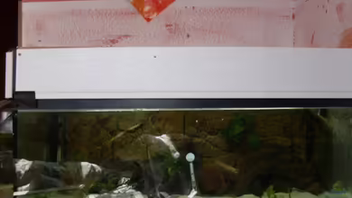 Becken 9950 von Benjamin Sälzer