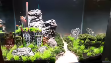 Bergdorf Andalusien von Dubdubler