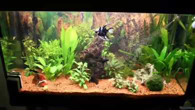 Bernd`s Pfütze von boandlkramer77