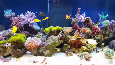 Beyond the time... von Tim1979