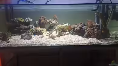 BIKINI BOTTOM von Spongebob