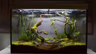 Billabong on a rainy day (existiert so nicht mehr) von Junglist