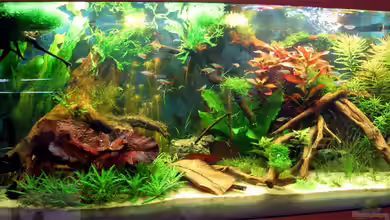 BiTs Eckkneipe von Christoph Bader