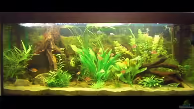 Blue Skyline von ~Johny-Foxx~