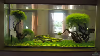 Bombay 800 Raumteiler von Bombay