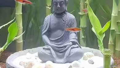 Buddha bei die Fische von Bawitdaba