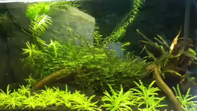 BüroAQ - nur noch Beispiel von Zarquon