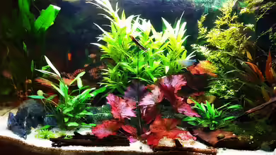 Bürotümpel von Sebastian Philipp