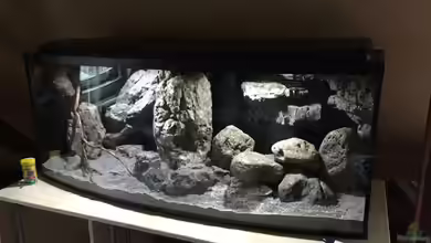 Castle of Malawi von Dresdn3r