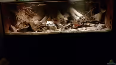 Central Park von Leo-FAN