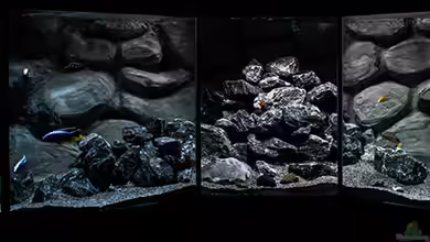 Corner Reef-aufgelöst- von AjakAndi