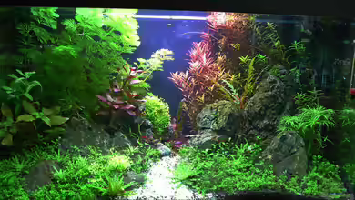 Crystal Rock von mike1963