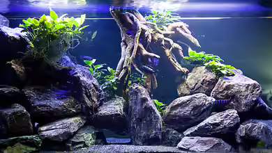 D-$To®M ( My First ) Nur noch als Beispiel von Erik H.