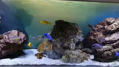 "Das beste Programm" von Marita K.