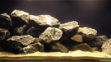 Das erste mal Malawi von Kunx