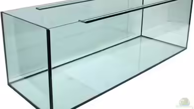 das Kleine von Ba Bu