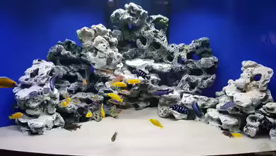 Delta Malawi Becken von Wilmink1977