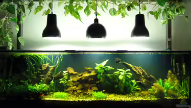 der Büro-Schlauch von koba2