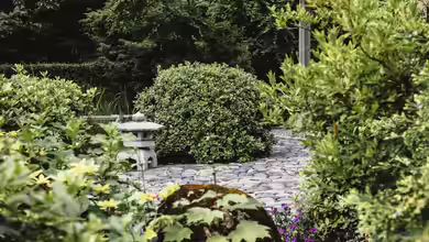Der klimafeste Garten - So wird Ihr Garten widerstandsfähig gegen Hitze, Trockenheit und Extremwetter