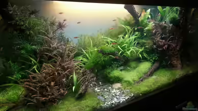 Der Weg von Marcel Reiter