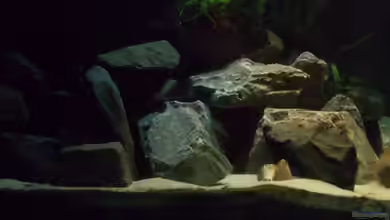 Der "Zweite" Versuch (Nur noch Beispiel.) von Pierre