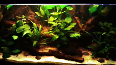 Des Neons feuchter Traum von Grek77