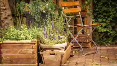Die beliebtesten Kübelpflanzen: Die schönsten Arten für Balkon, Terrasse und Garten