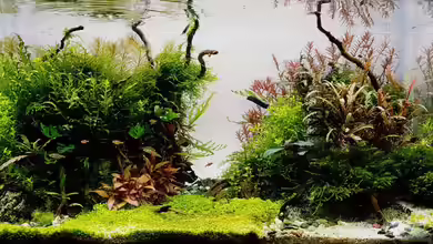 Die Minis (Nur noch Beispiel) von YoshiMaus