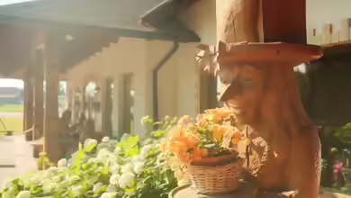Die zweite Blüte - So bringen viele Pflanzen im Sommer noch einmal Farbe in den Garten