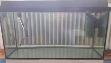 Diskus Quarantäne Becken von Johannes L.