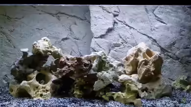 Duboisi Kinderzimmer von baumringzaehler