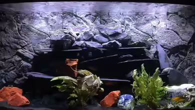 Dunkles Malawi von Saikon