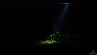 Easy Scaping (nur noch Beispiel) von ManiacXL