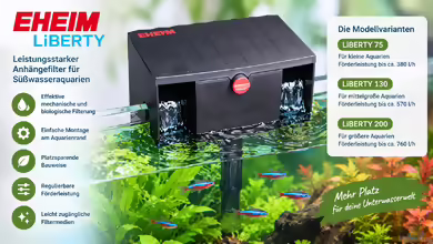 EHEIM LiBERTY – Leistungsstarker Anhängefilter für Süßwasseraquarien
