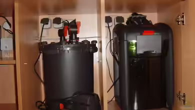 EHEIM professionel 3 1200XL oder Fluval FX6: Was haben die Flagschiffe der Außenfilterhersteller drauf?