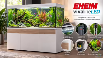 EHEIM vivalineLED – Komplettaquarium mit moderner LED-Beleuchtung und elegantem Design