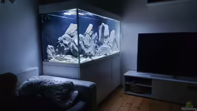 Eifel-Phonolith Mbuna von Airlifter