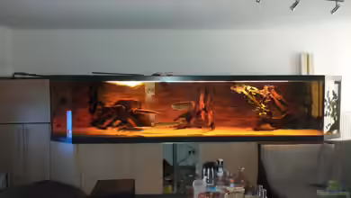 Ein Traum in groß und rochenfreundlich von Kenno