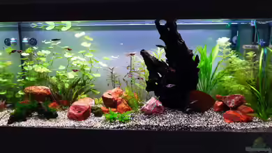 Eine Insel von BerndL