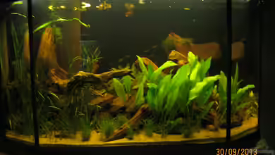 eine lange Geschichte... von Paul B.