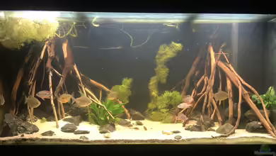 Elliots Ufer von Patrick T