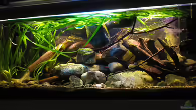 "Erosion..."(nur noch Beispiel) von der Theoretiker