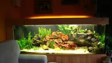 es war einmal... von Minzi