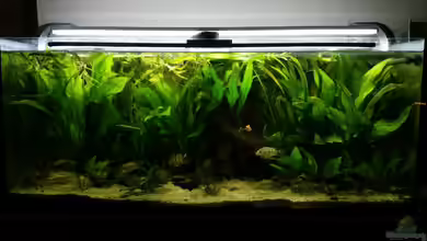 Existiert so nicht mehr. von David S.