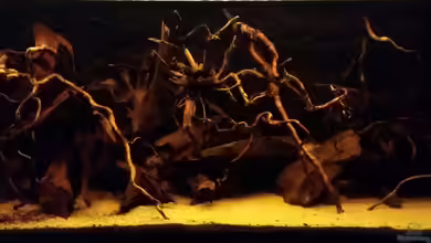 Existiert so nicht mehr. von David S.