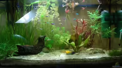 Familienbecken von Wauz06