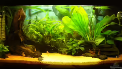 Fast Südamerika von zetti